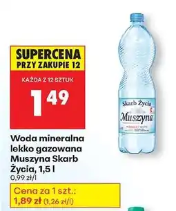 Biedronka Woda mineralna lekko gazowana Muszyna Skarb Życia, 1,5 l oferta