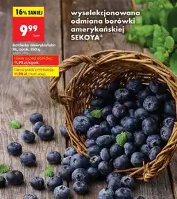 Biedronka Borówka amerykańska XL, opak. 150 g oferta