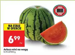 Biedronka Arbuz mini na wage oferta