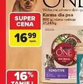 Carrefour Karma dla psa mini/small oferta