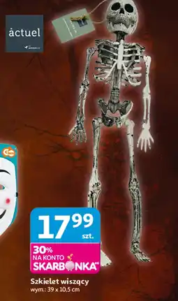 Auchan Szkielet Actuel oferta