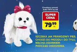Carrefour Piesek ZURU PETS ALIVE oferta