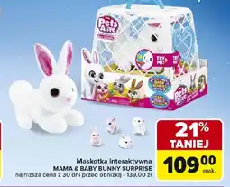Carrefour Maskotka ZURU PETS ALIVE oferta