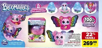 Carrefour Zwierzątko Bloomables oferta