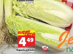 Topaz Kapusta pekińska oferta
