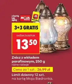 Biedronka Znicz Biedronka oferta