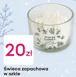 Pepco Świeca zapachowa w szkle oferta