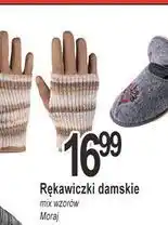 E.Leclerc Rekawiczki damskie Moraj oferta
