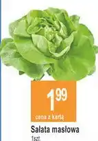 E.Leclerc Sałata masłowa oferta