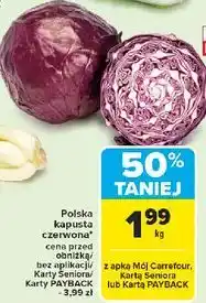 Carrefour Kapusta czerwona polska oferta