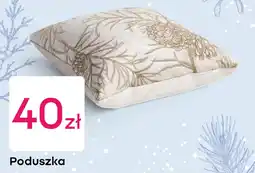 Pepco Poduszka oferta