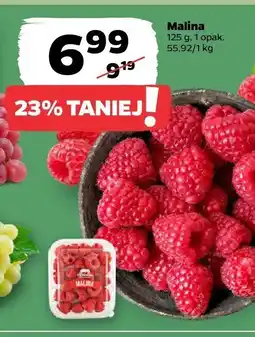 Netto Malina 125 g Netto oferta