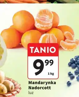 Intermarche Mandarynka Nadorcott luz Intermarche oferta