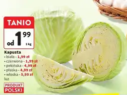Intermarche Kapusta włoska Intermarche oferta