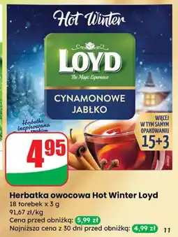 Dino Herbatka owocowa Hot Winter Loyd oferta