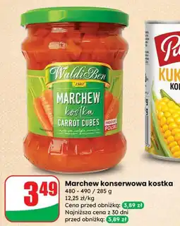 Dino Marchew konserwowa kostka Waldi Ben oferta