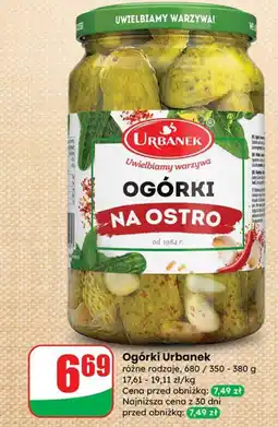 Dino Ogórki Urbanek różne rodzaje na ostro oferta