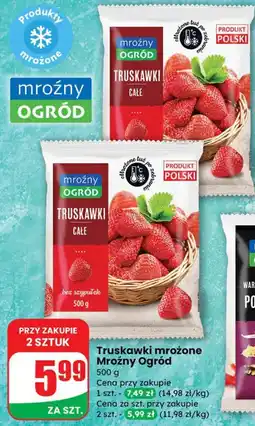 Dino Truskawki mrożone całe Mroźny Ogród oferta
