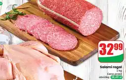 Dino Salami rogal Agro Rydzyna oferta