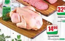 Dino Kurczak Sielski Agro Rydzyna oferta
