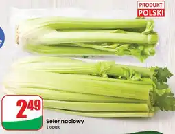 Dino Seler naciowy Dino oferta