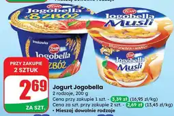 Dino Jogurt Jogobella różne rodzaje Zott oferta