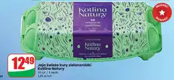 Dino Jaja świeże kury zielononóżki Kotlina Natury oferta