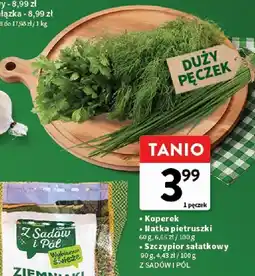 Intermarche Szczypior sałatkowy Z SADÓW I PÓL Z Sadów i Pól oferta