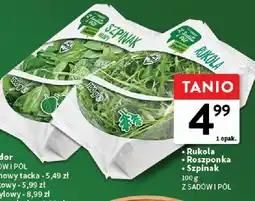 Intermarche Szpinak Z SADÓW I PÓL Z Sadów i Pól oferta