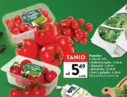Intermarche Pomidor cherry gałązka Z SADÓW I PÓL Z Sadów i Pól oferta