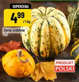 Polomarket Dynia ozdobna POLOmarket oferta