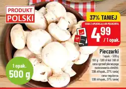 Polomarket Pieczarki POLOmarket oferta