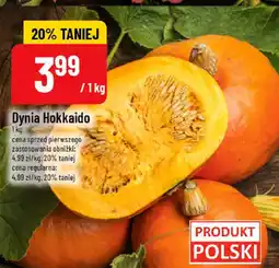 Polomarket Dynia Hokkaido POLOmarket oferta