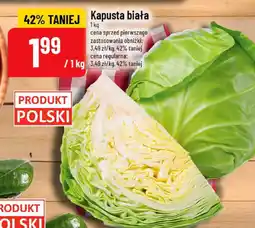 Polomarket Kapusta biała POLOmarket oferta