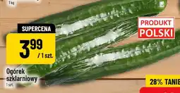 Polomarket Ogórek szklarniowy POLOmarket oferta
