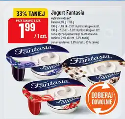 Polomarket Jogurt Fantasia wybrane rodzaje Danone oferta