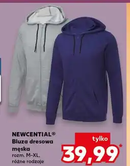 Kaufland Bluza dresowa Newcential oferta
