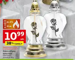 Auchan Znicz oferta