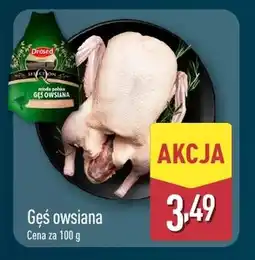 ALDI Gęś oferta