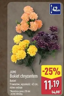ALDI Chryzantema Jumi oferta