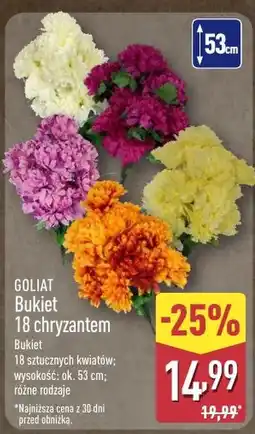 ALDI Chryzantema Goliat oferta