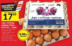 Twój Market Jaja z wolnego wybiegu Pytlas M, 20 szt., 1 opak oferta