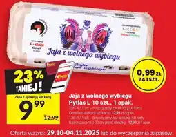 Twój Market Jaja z wolnego wybiegu Pytlas L, 10 szt., 1 opak oferta