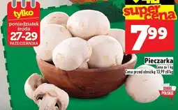 Topaz Pieczarka Tylko oferta