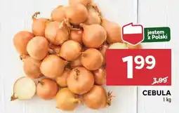 Stokrotka Cebula 1 kg Stokrotka oferta