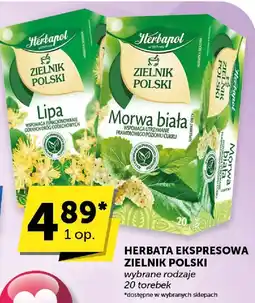Groszek Herbata ekspresowa Zielnik Polski Morwa biała Herbapol oferta
