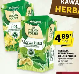 ABC Herbata ekspresowa Zielnik Polski wybrane rodzaje Herbapol oferta