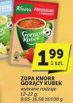Euro Sklep Zupa Knorr Gorący Kubek wybrane rodzaje 12-22 g oferta