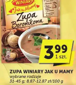 Euro Sklep Zupa Winiary Jak u Mamy wybrane rodzaje 31-45 g oferta