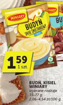 Euro Sklep Budyń Winiary wybrane rodzaje oferta